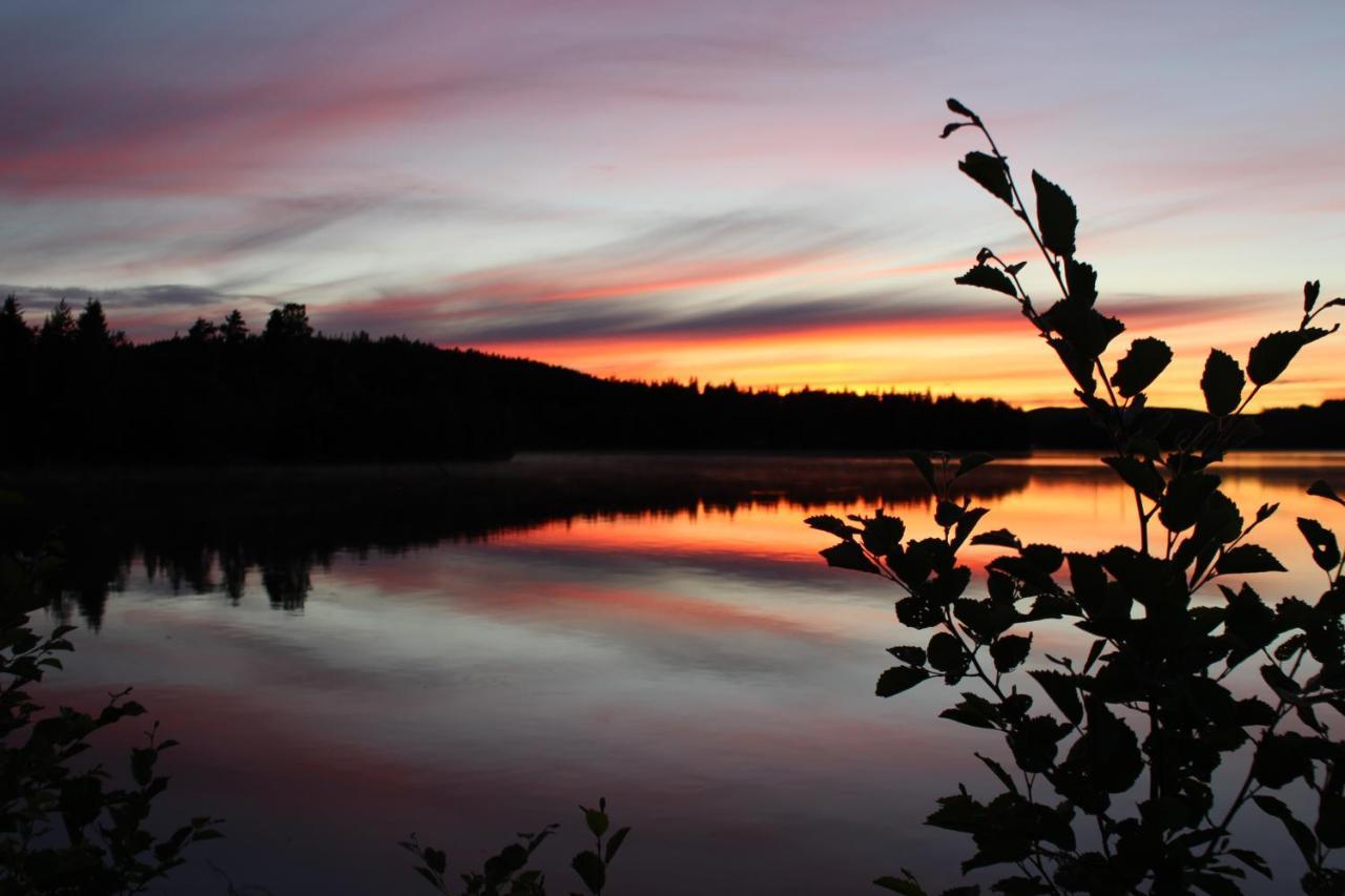Lakeview Houses Sweden Фалун Екстериор снимка